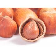 永合 水漏榛子 辽宁沈阳特产 400g 榛子  香味浓郁 香脆可口